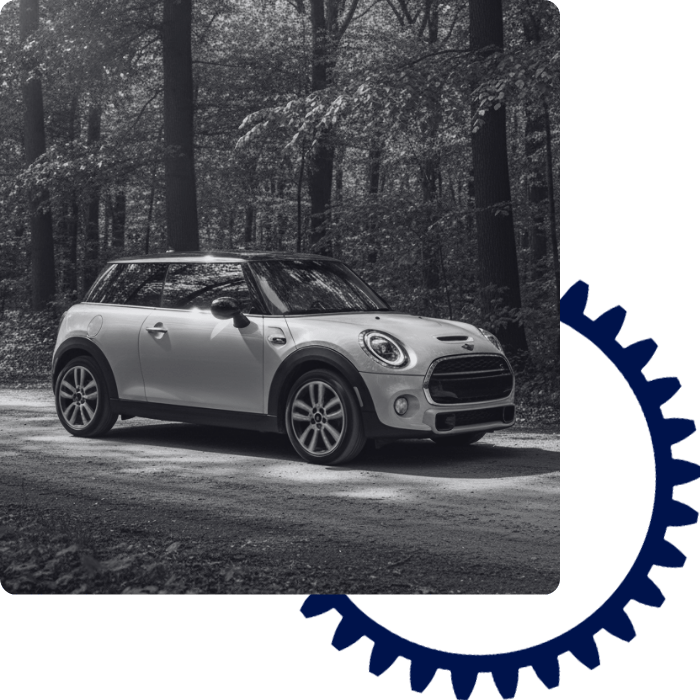 EXPERT MINI SERVICE FOR CLUBMaN, COOPER & COUNTRYMaN