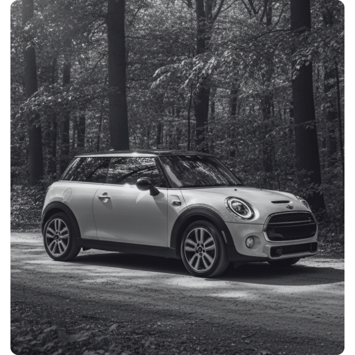 aFFORDaBLE MINI SERVICE WITH DeaLERSHIP-LEVEL QUALITY