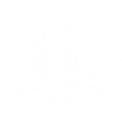 Southwest Auto