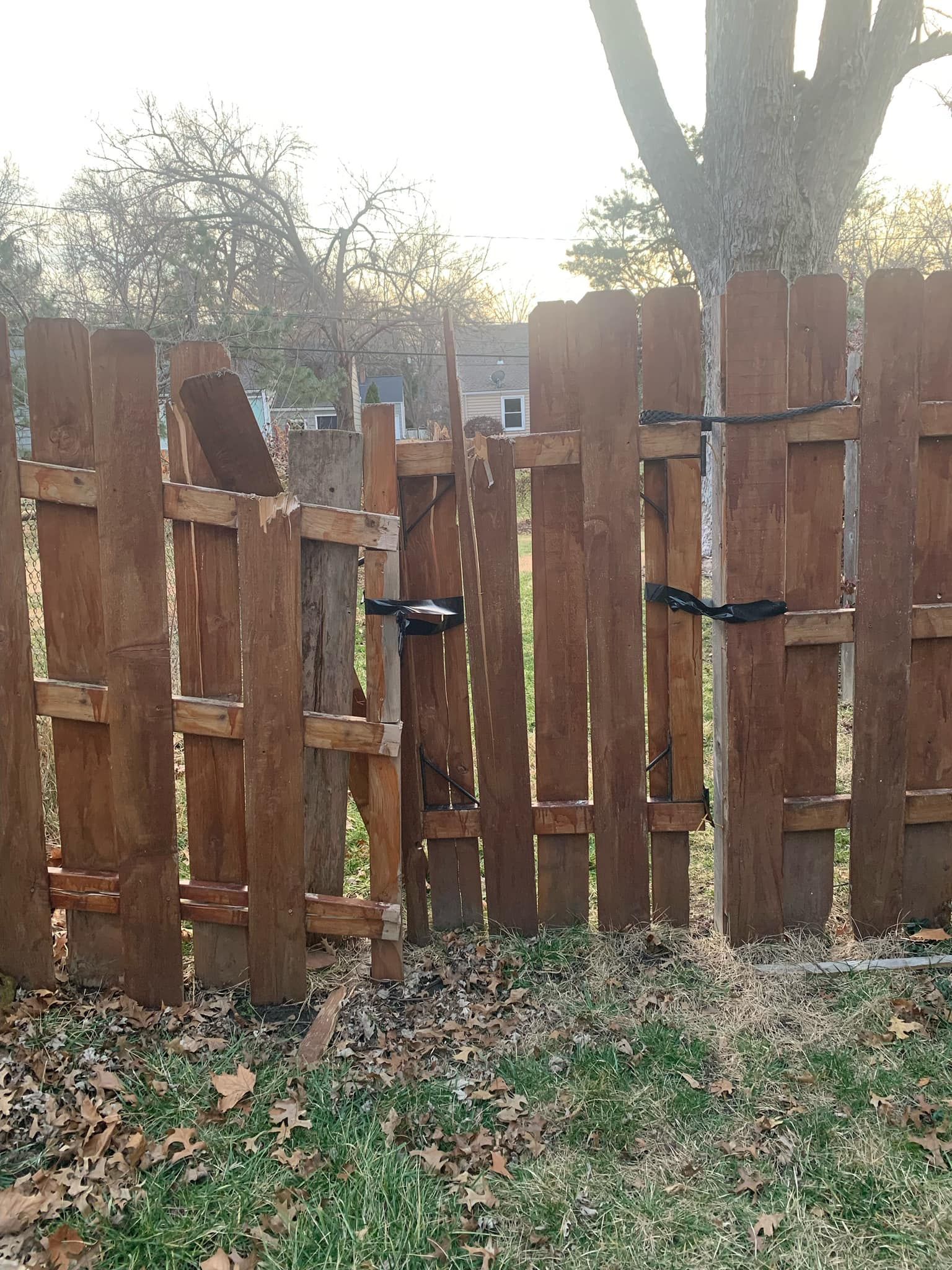 A wooden fence with a gate and a tree in the background.