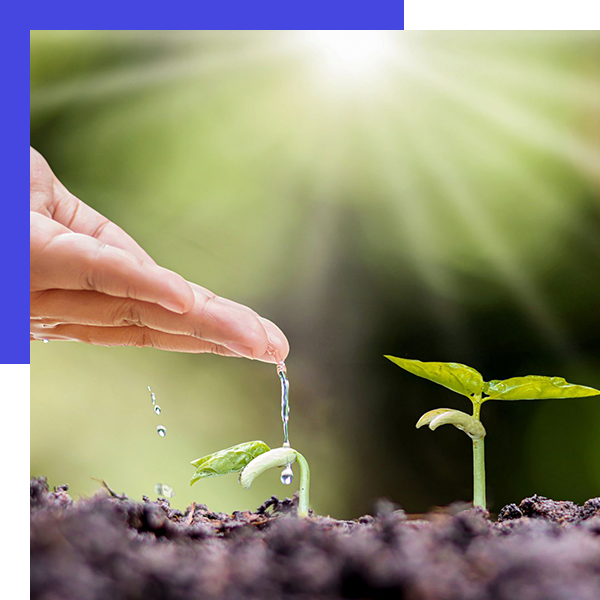 Planting the seeds of success by investing time, effort and resources in your business. Watering and nurturing your ideas before harvesting the rewards of hard work and dedication.