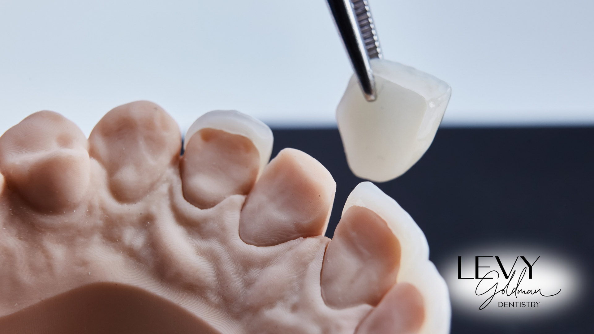 A model of a person 's teeth with a tooth being taken out of it