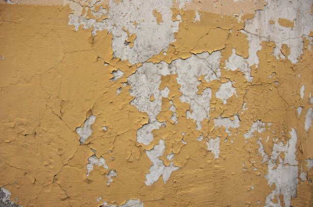 Old Yellow Painted Wall — Seattle, WA — Stoneway Hardware