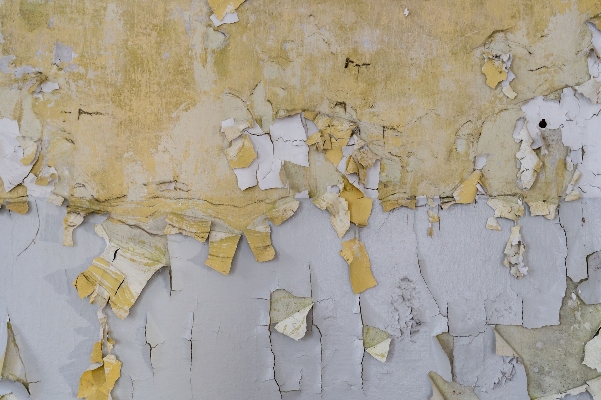 Peeled Off Old Paint — Seattle, WA — Stoneway Hardware