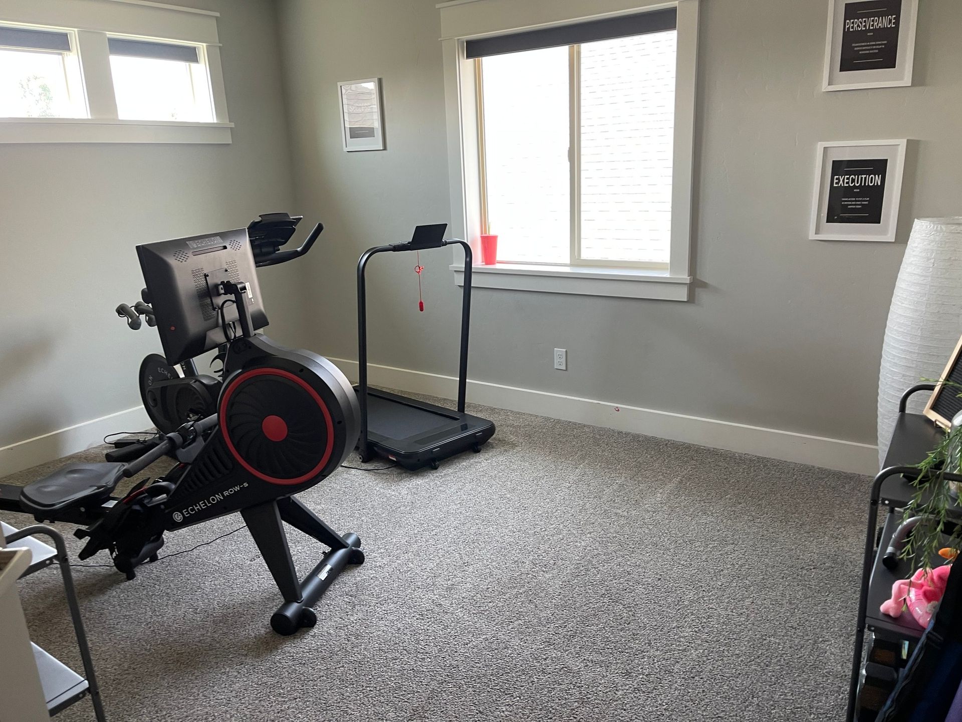 A room with a treadmill and a rowing machine in it.