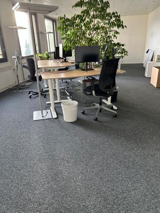 Un espace de bureau avec deux bureaux, des ordinateurs, des chaises noires, une poubelle blanche et une grande plante d'intérieur sur une moquette grise.