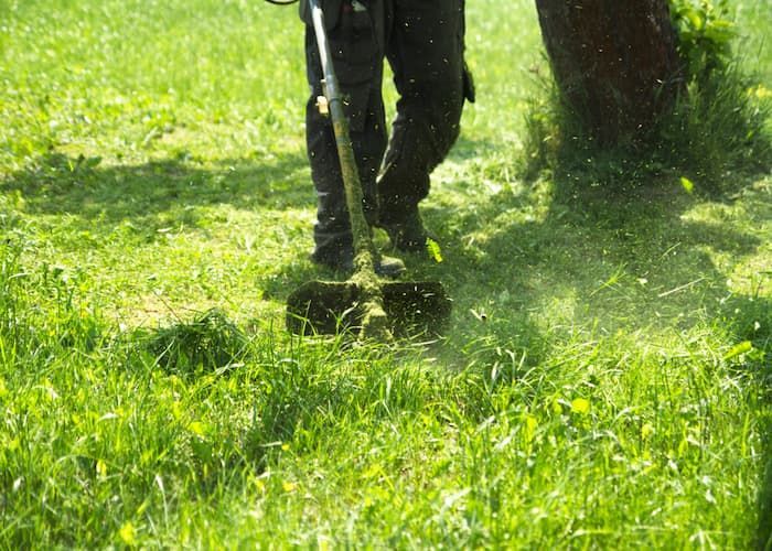 Person Mowing The Grass - Gardener in Flora Hill, VIC