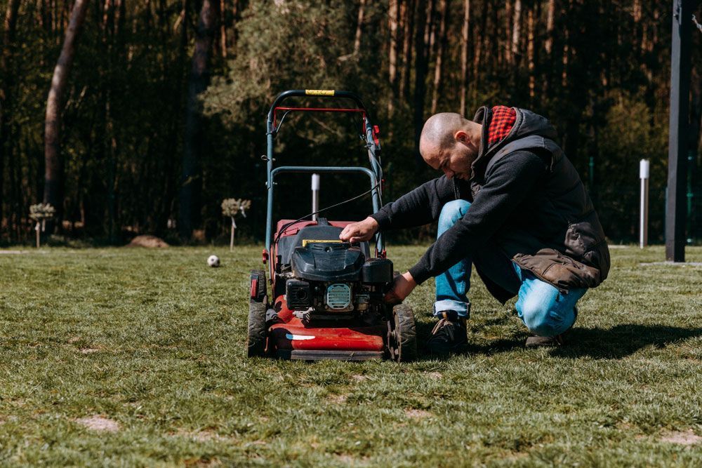 The Man, The Gardener, Repair Cleans The Combustion Mower On The Lawn — Local Gardener in Eaglehawk, VIC