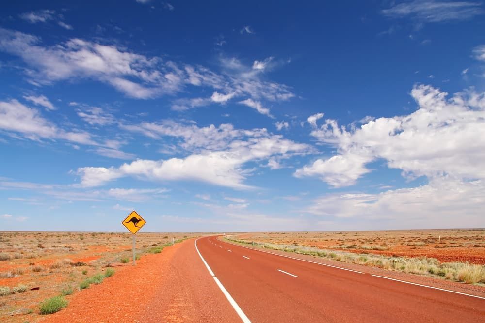 Road With A Kangaroo Sign On It- Gardener in Kangaroo Flat, VIC