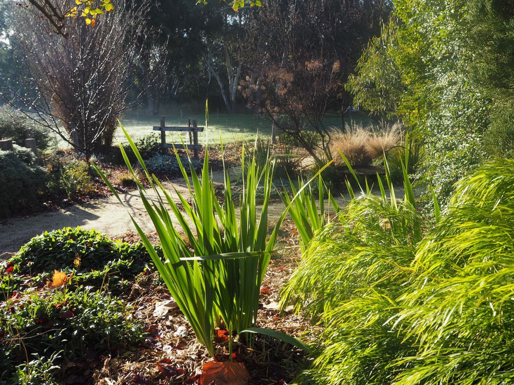 Garden Display In Strathfieldsaye - Gardener in Strathfieldsaye, VIC