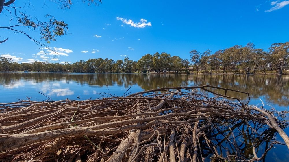 Kennington Reservoir - Gardener in Kennington, VIC