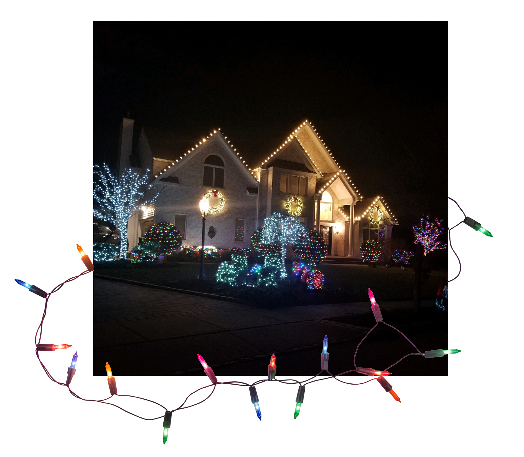 About Us | SCM Christmas Light Installation