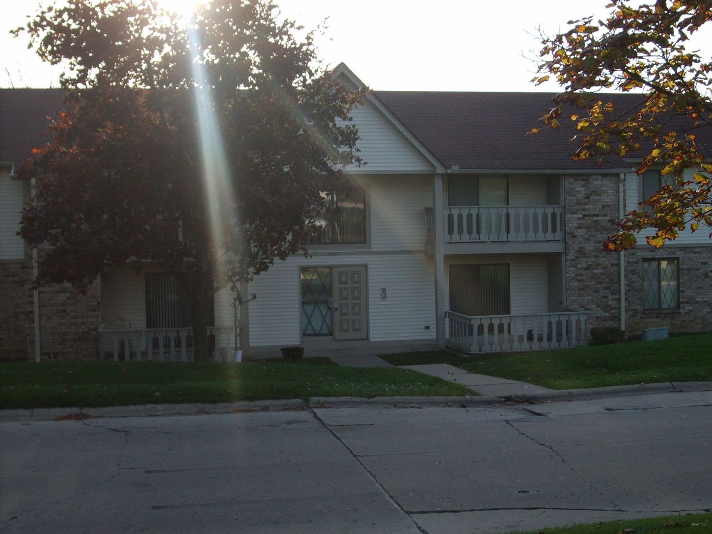 The sun is shining through the trees in front of a house
