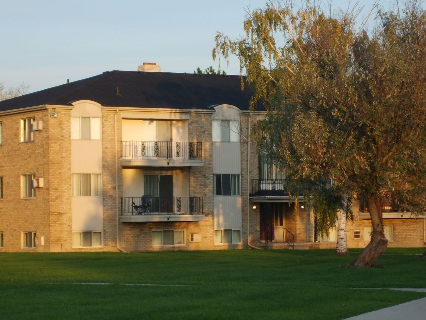 A large apartment building with a tree in front of it