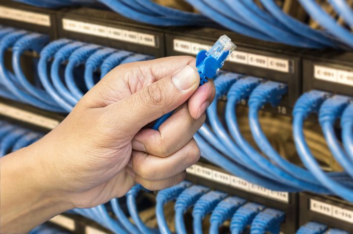 a person is holding a blue ethernet cable in their hand