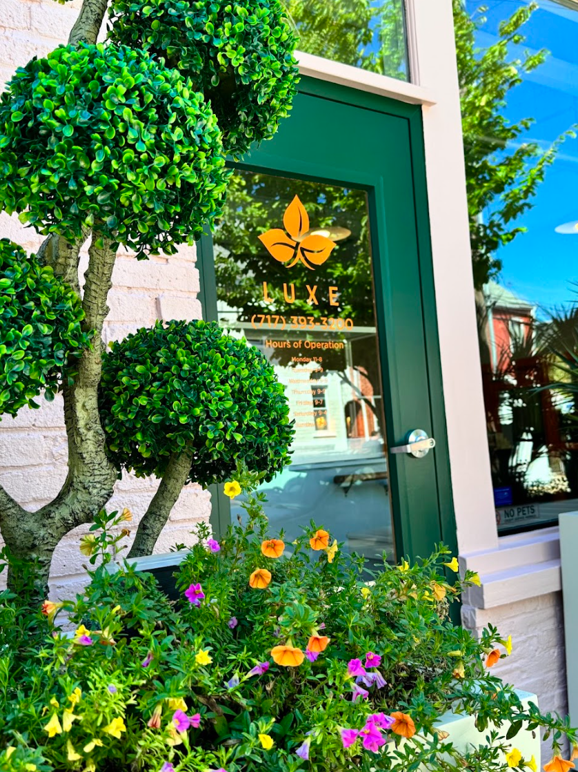 A green door with flowers in front of it and a tree in front of it.