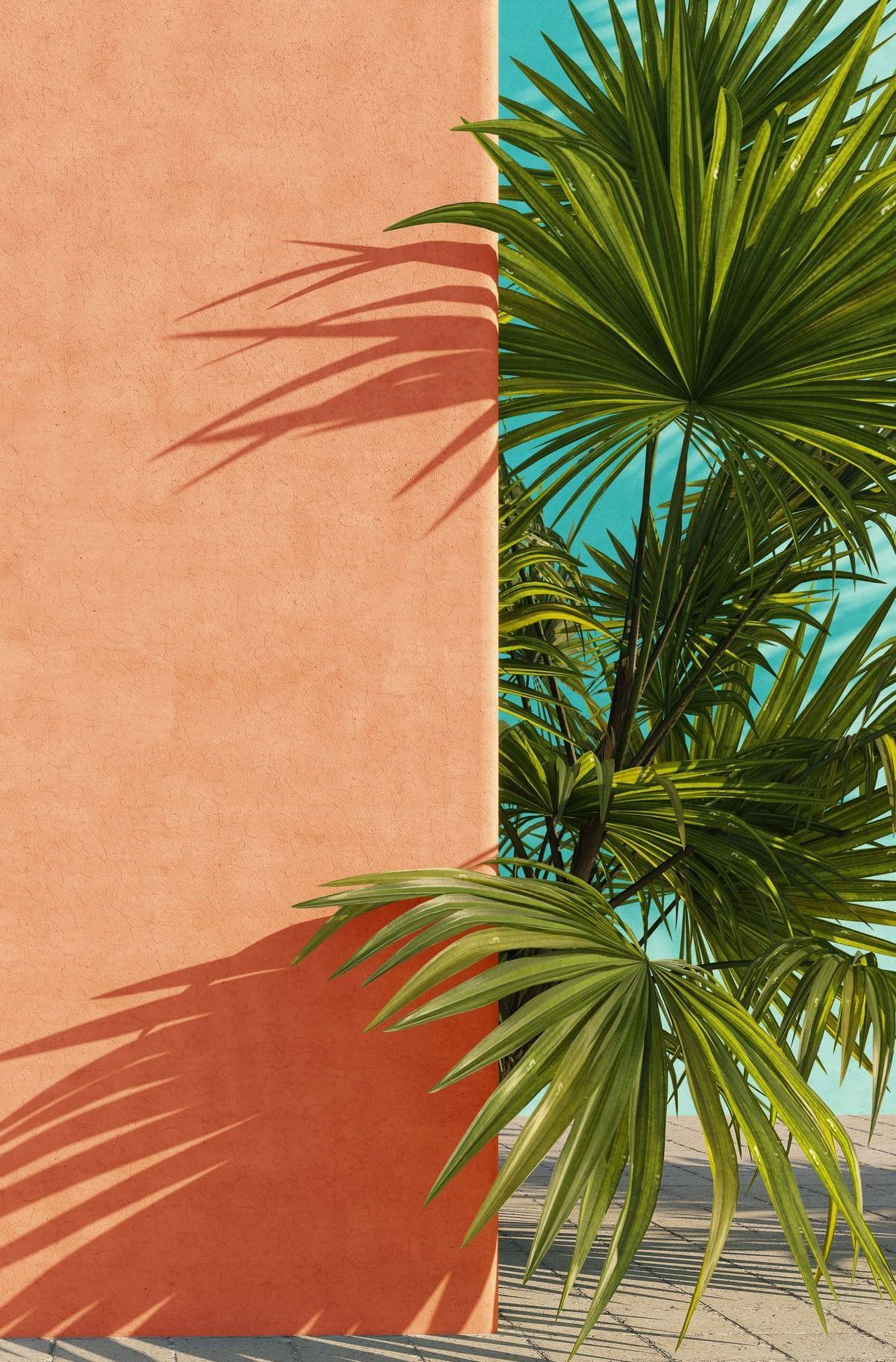 Peach-colored wall casting shadow on sand, palm tree fronds against a turquoise sky.