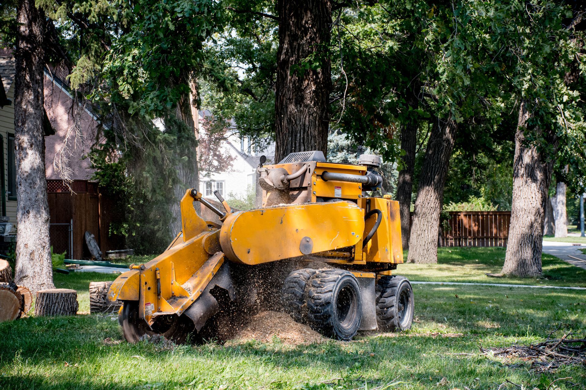 Yellow stump grinder grinding a tree stump in a grassy yard, creating wood chips.