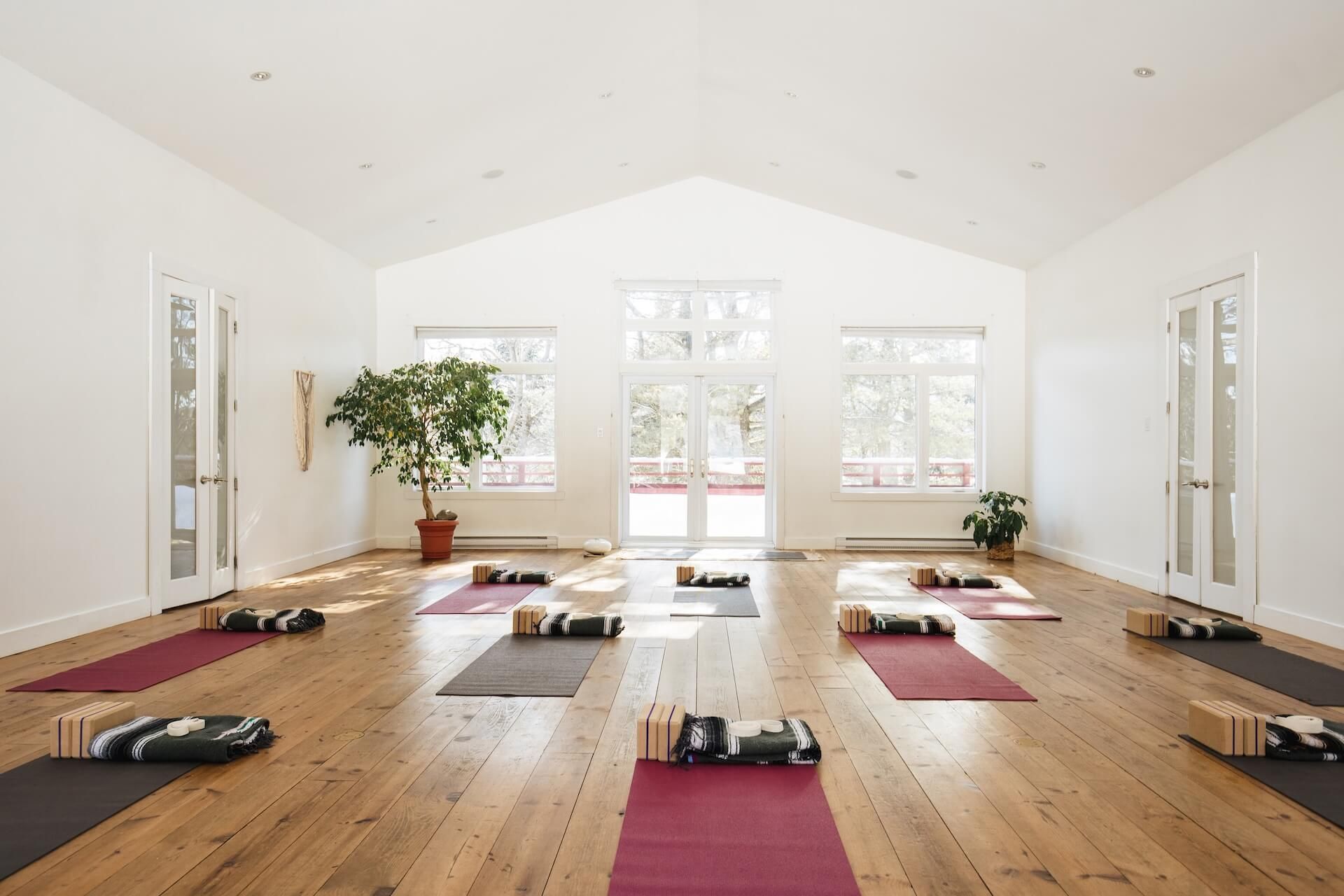 Yoga studio with mats, blocks, and plants. Bright, spacious room with wooden floor and windows.