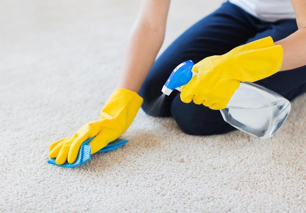Cleaning A Carpet — Toowoomba Cleaning Co in South Toowoomba, QLD