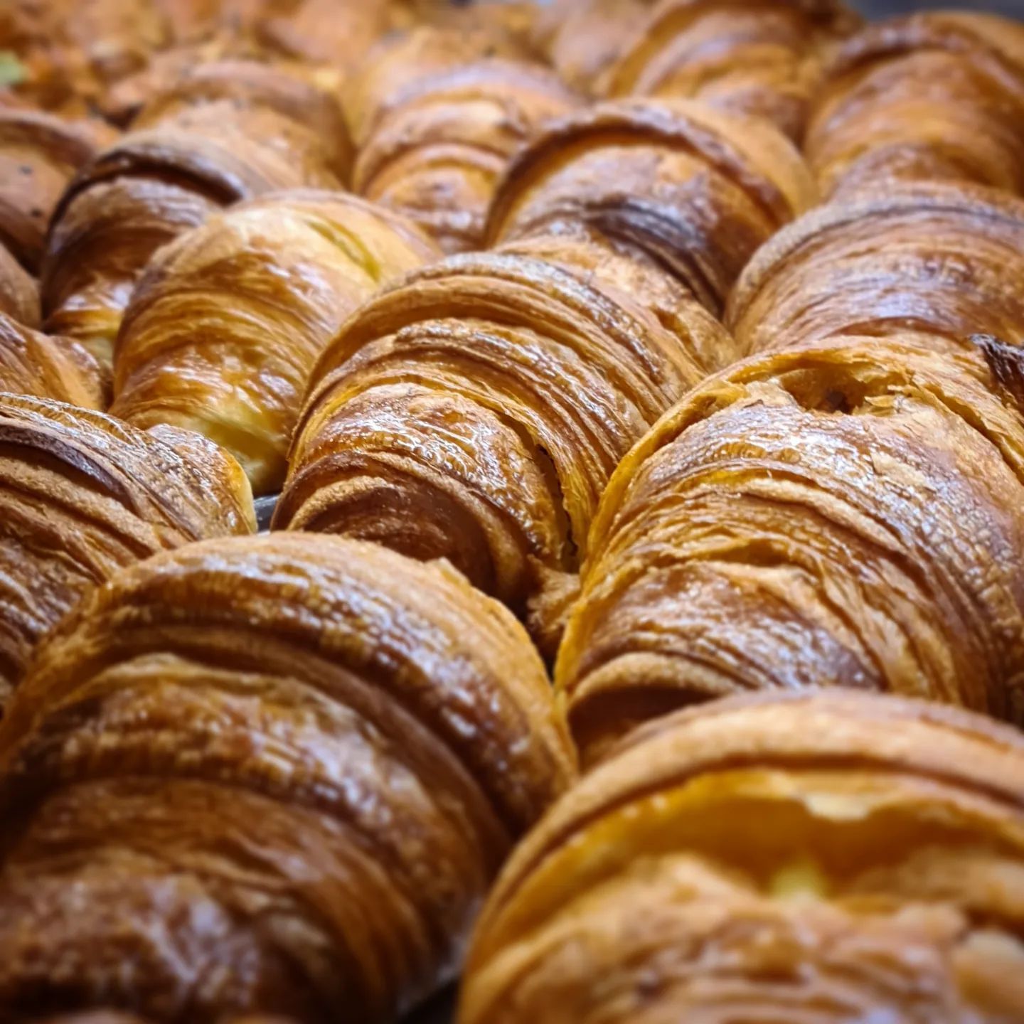 Primo piano di croissant dorati in una panetteria, che mostrano strati sfogliati e una consistenza croccante.