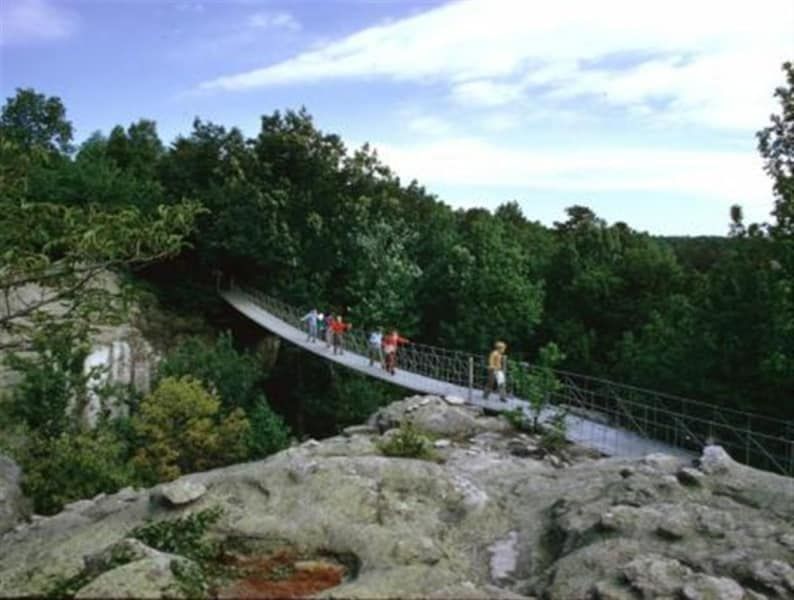 A group of people are walking across a suspension bridge in the woods.