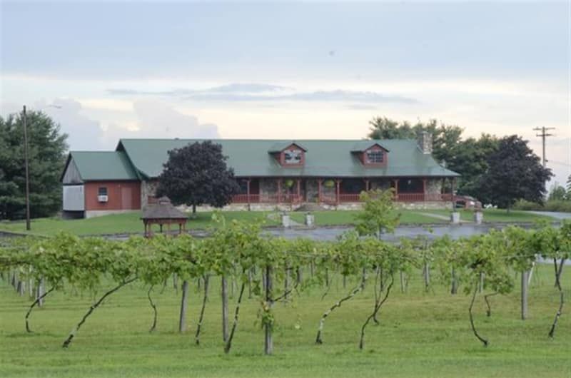 A large house with a green roof is surrounded by vineyards