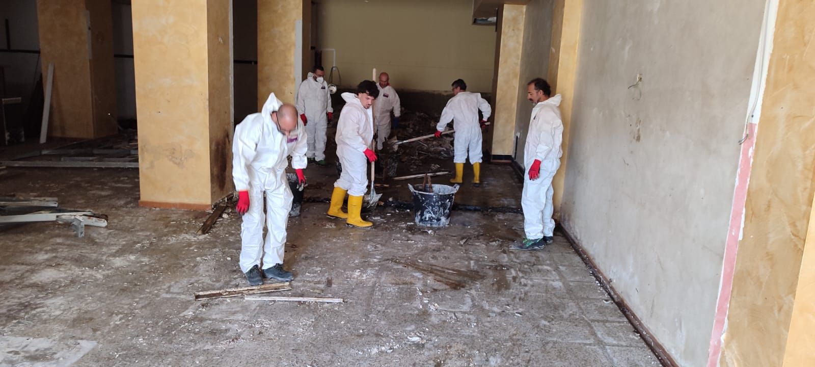 Disinfestazioni e derattizzazioni