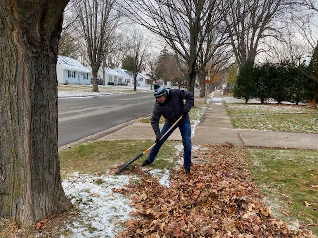 A man is raking leaves on the side of the road