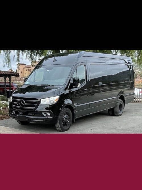 Executive Sprinter limo winery tour