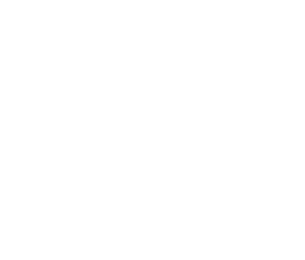Member of the Pennsylvania Bar Association