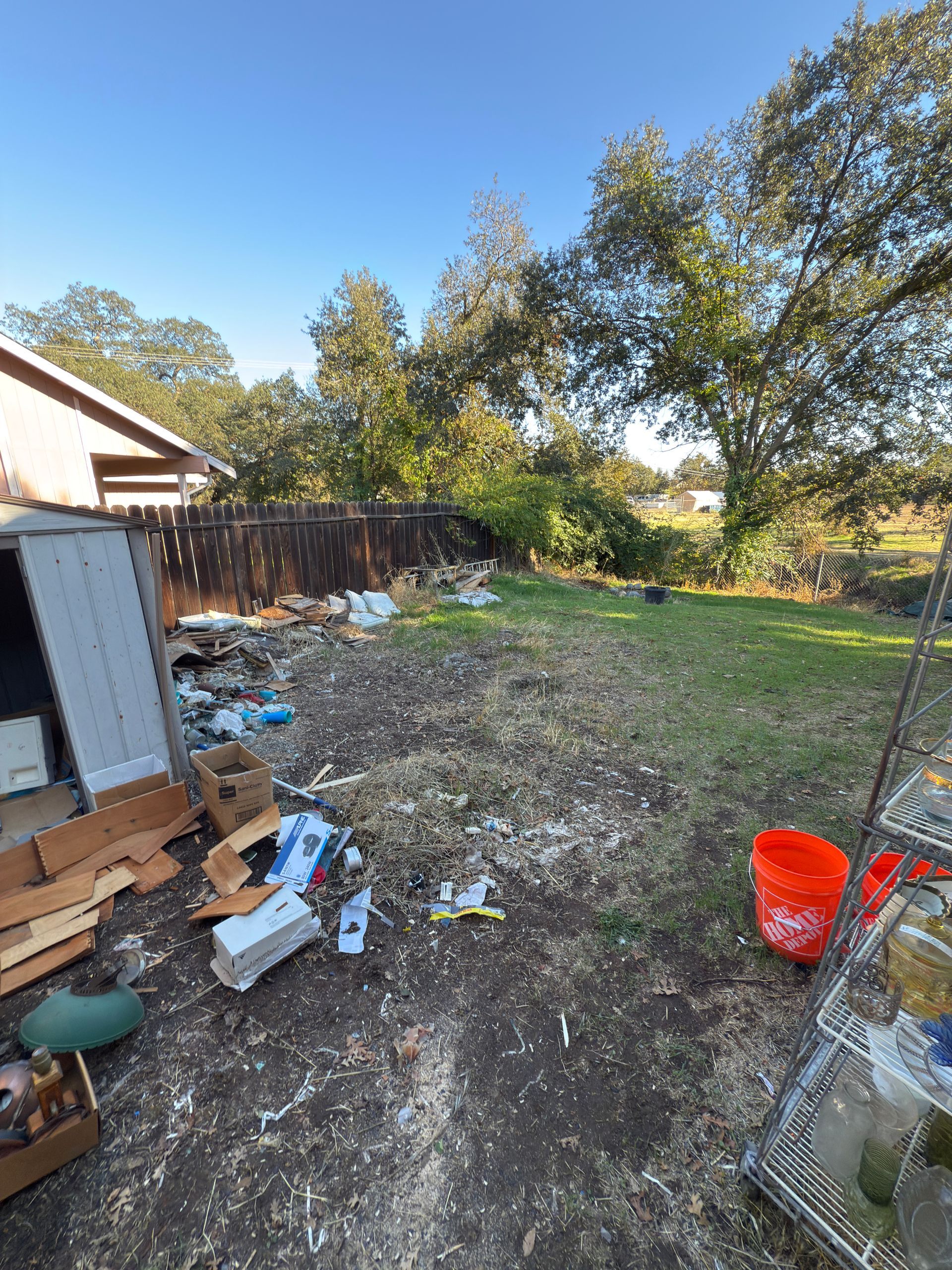 A backyard cluttered with cardboard, debris, and plastic bins near a shed, with a wooden fence and trees in the background.