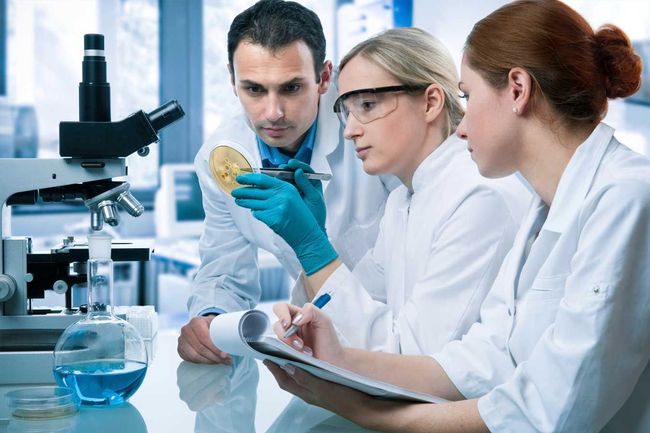 Tres científicos con batas de laboratorio examinan una placa de Petri; uno la sostiene mientras los demás observan y toman notas, cerca de un microscopio.