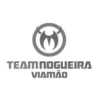 A logo for a company called team nogueira viamão.