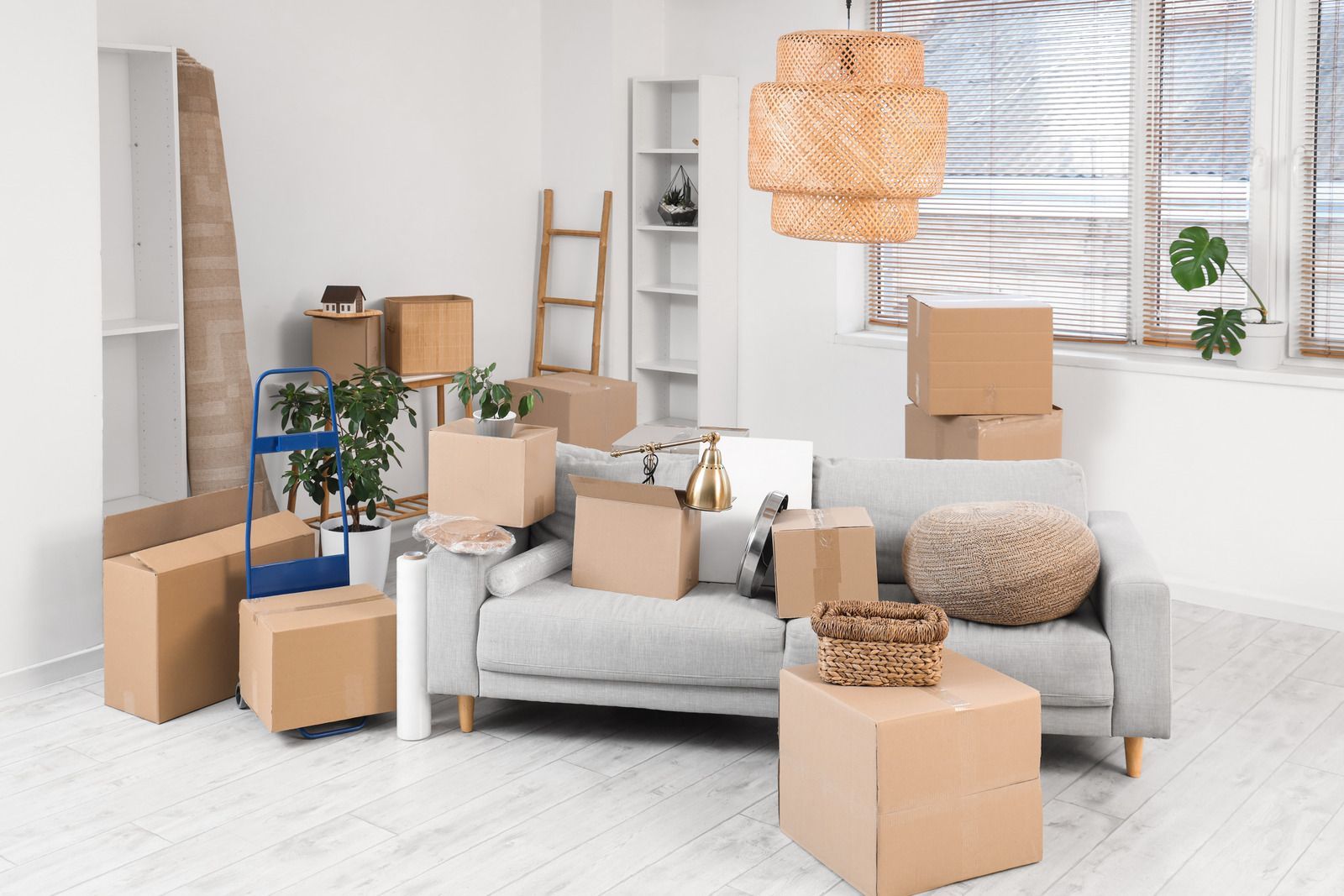 Boxes piled in a living room during a move; a couch, ladder, and window are also visible.