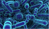 PuraCath FireflyTM Can Kill Deadly Microorganisms with UV Light, Like SARS CoV-2