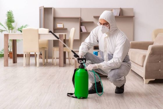 a worker with the insect-killing spray machine in the room