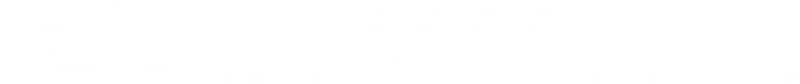 Professional Association of RV Inspectors