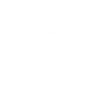 Professional Association of RV Inspectors Professional Association of RV Inspectors