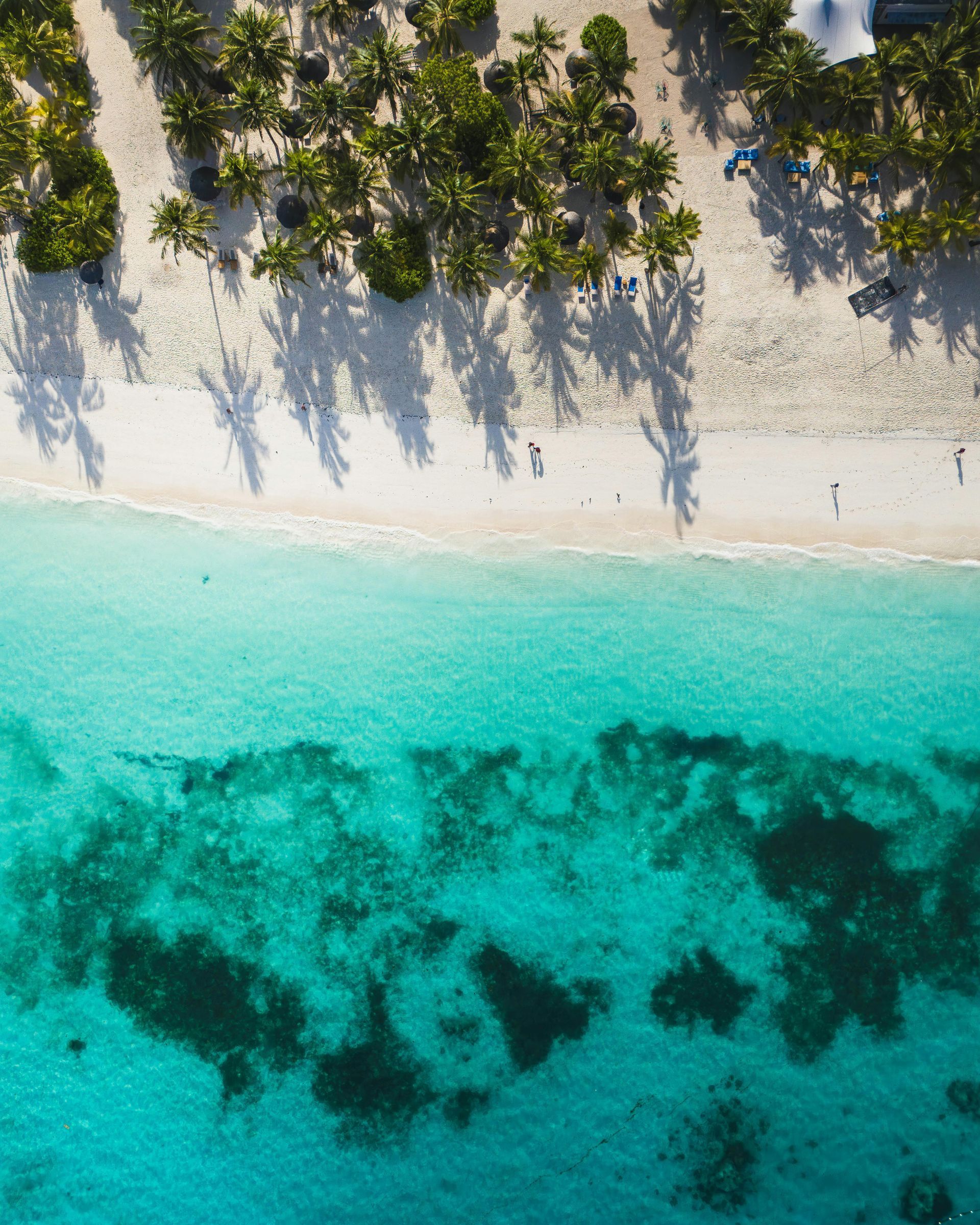 An aerial view of a beach with palm trees and turquoise water