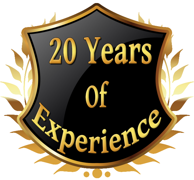20 Years Of Experience Logo