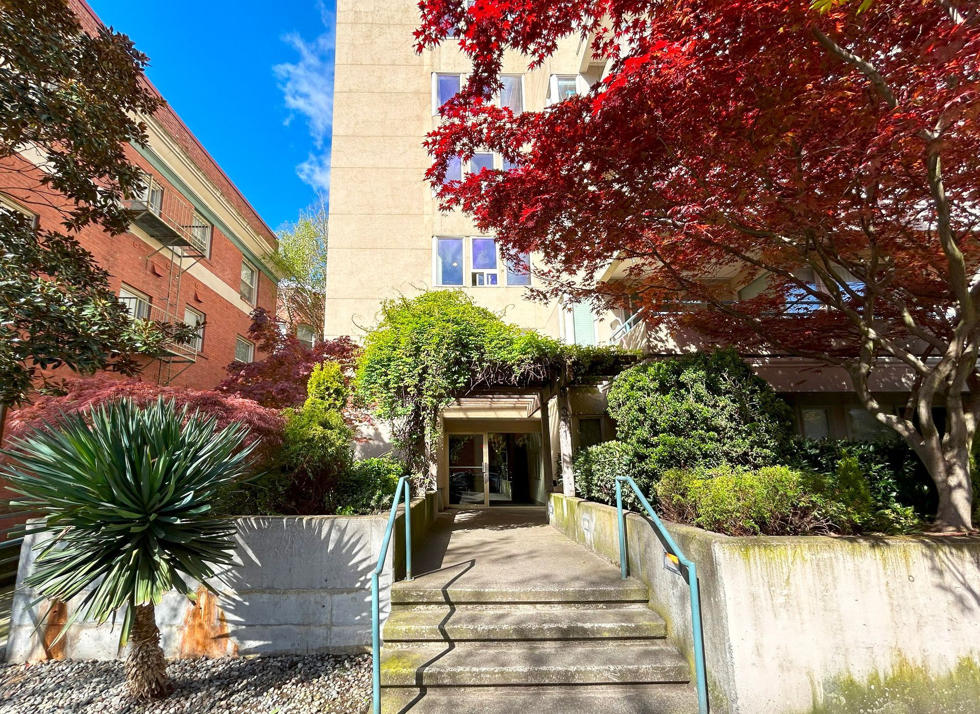 A building with stairs leading up to it and trees in front of it