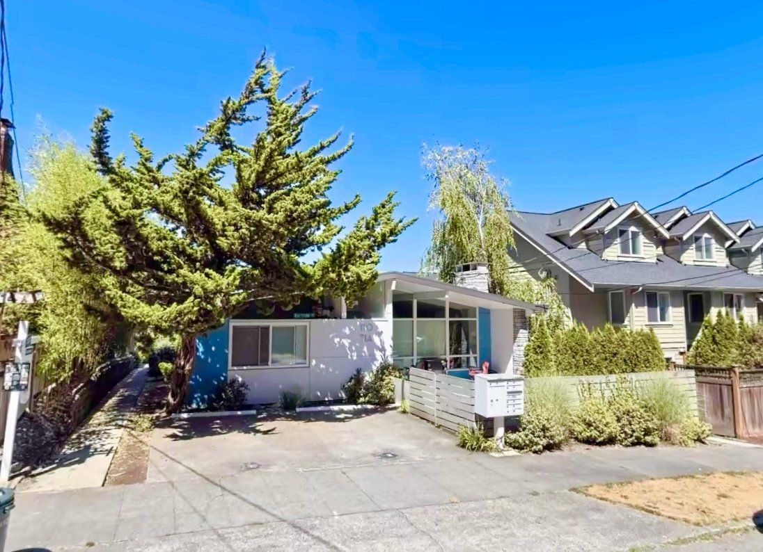 A white house with a blue door and a tree in front of it.