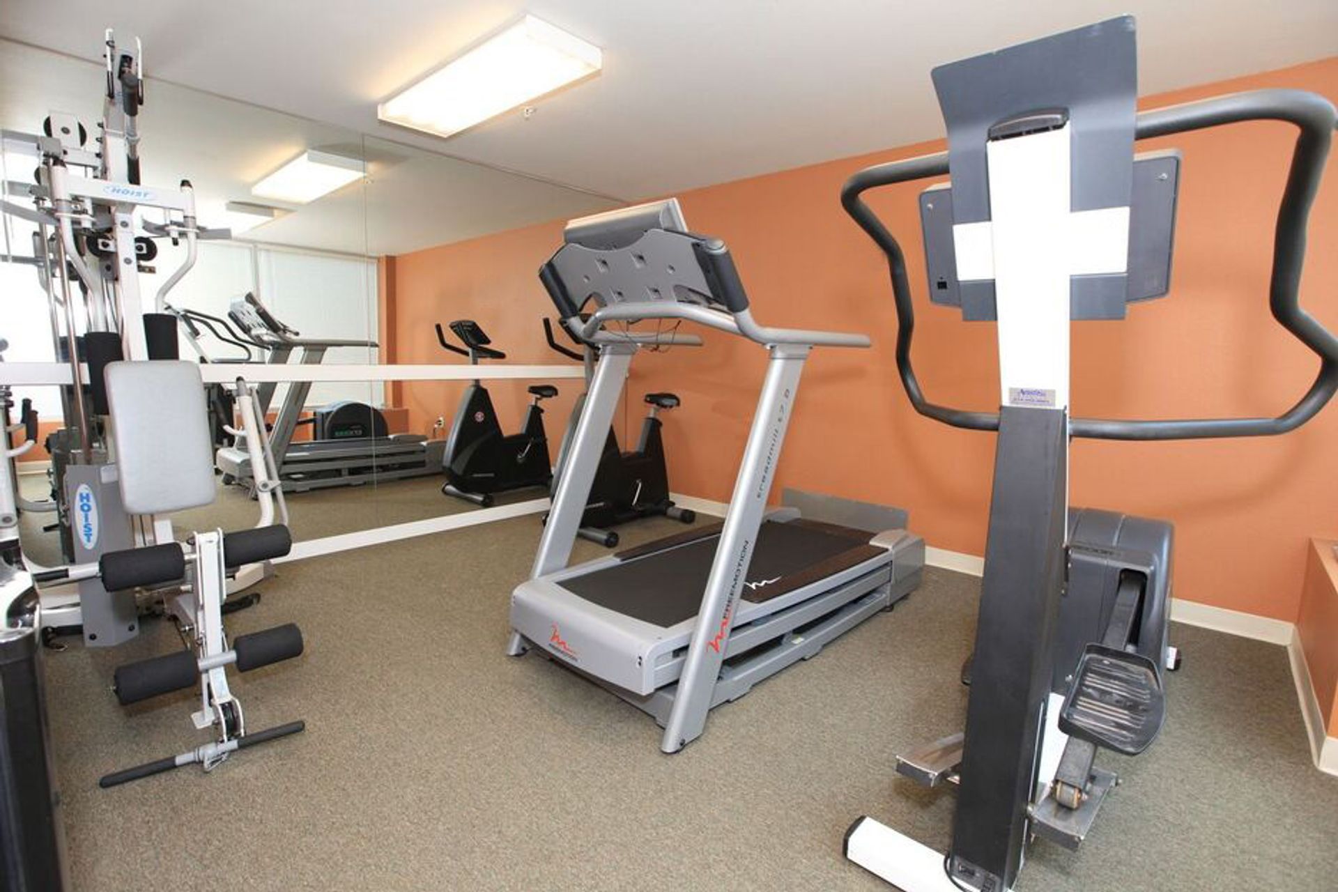A gym with a treadmill and an exercise bike