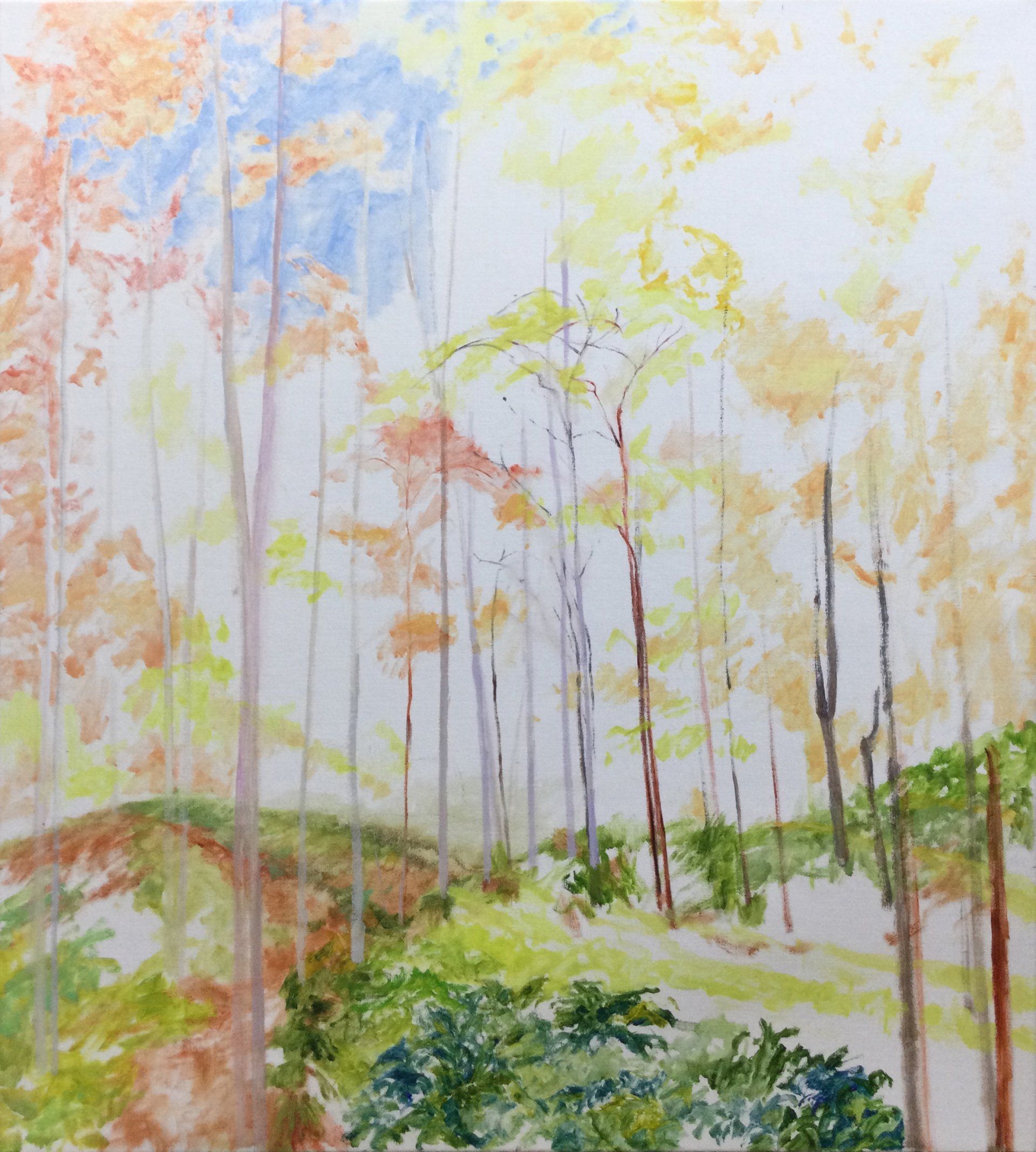 Painting in Progress - Initial Structures - John R. Davenport