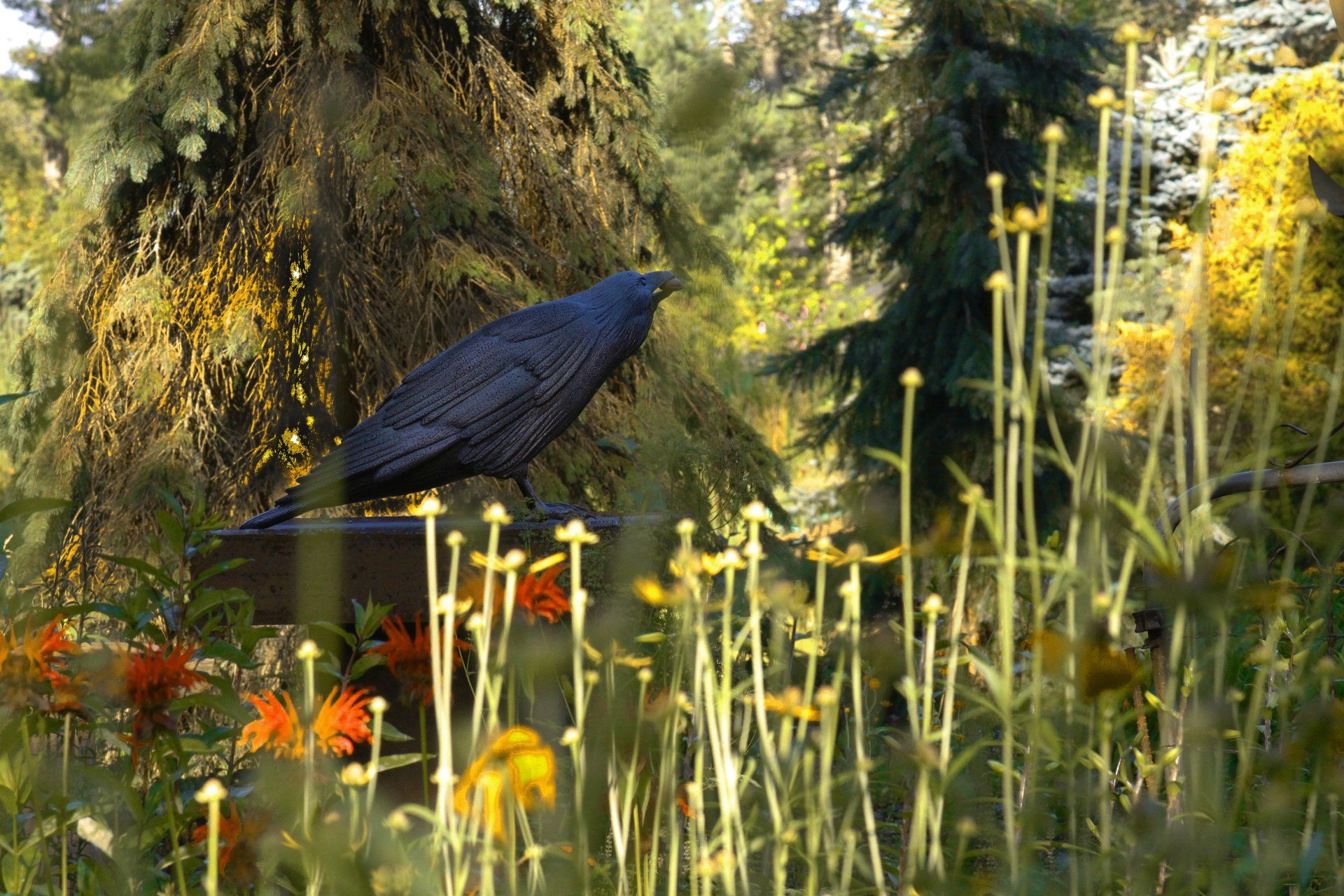 John R. Davenport - Raven - Environment in which I work