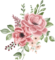 A bouquet of pink flowers with green leaves on a white background.