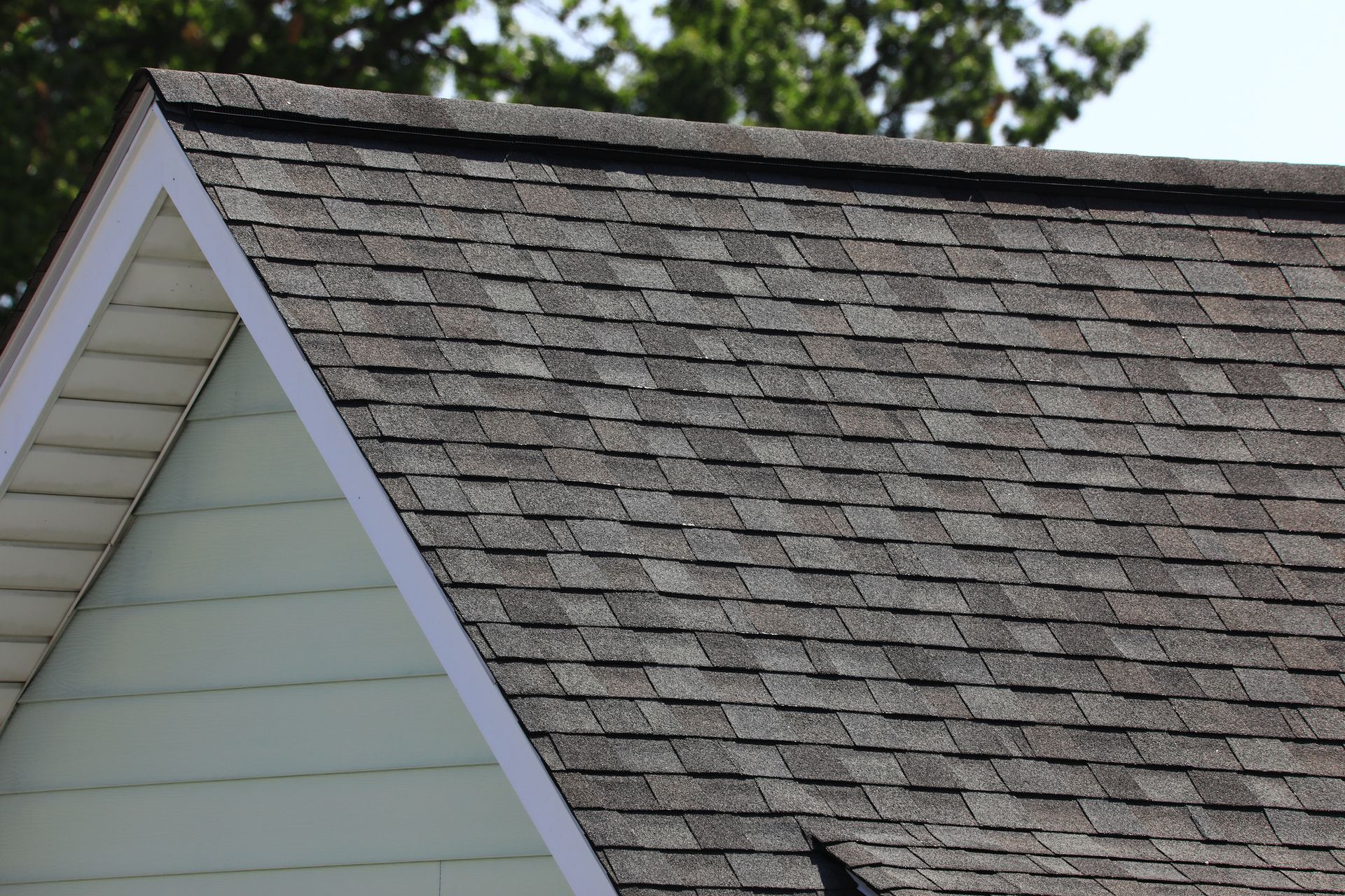 A close up of a roof with trees in the background.
