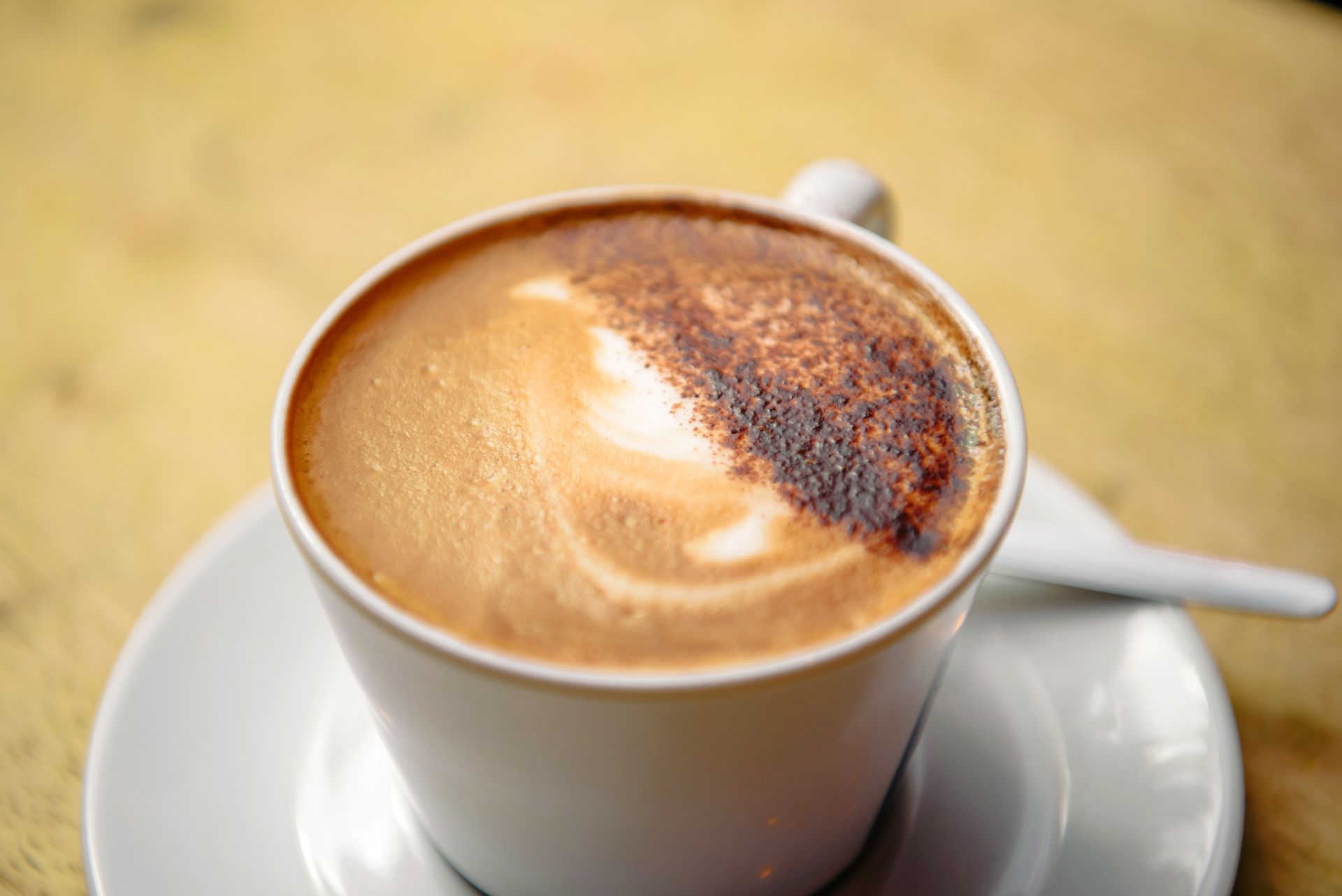 Cappuccino in a white cup on a saucer, sprinkled with cocoa powder, sits on a wooden table.