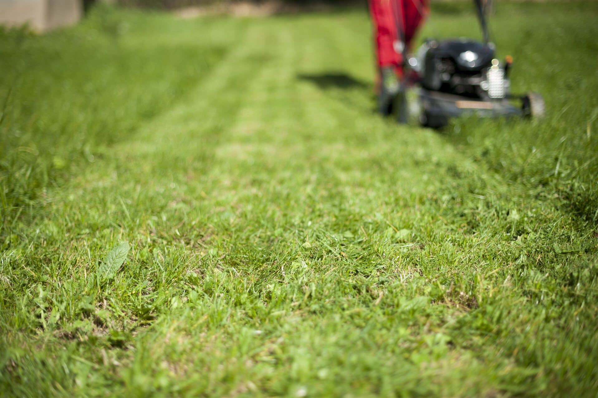 ndis-cleaning-in-hermit-park-yourservice